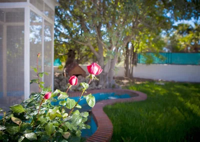 conciencia2s comunidad terapeutica slide7